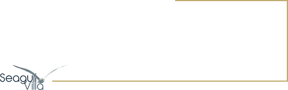 seagull villa logo