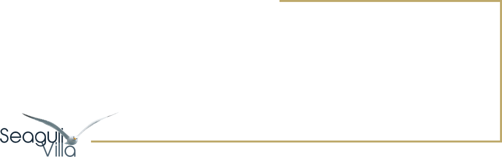 Seagull villa logo
