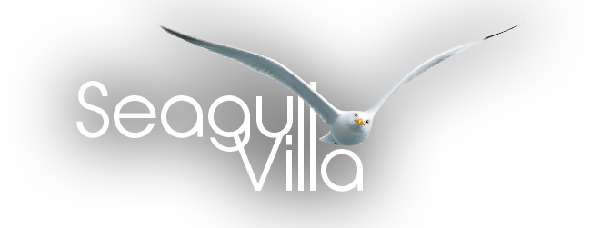 seagull villa logo